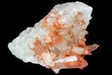 Natural, Red Quartz Crystal Cluster - Morocco #100999-1